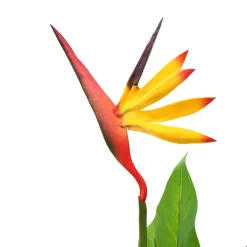 vidaXL Kunstplant paradijsvogelbloem 66 cm