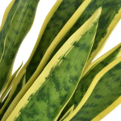 vidaXL Kunst sanseveria plant met pot 65 cm groen