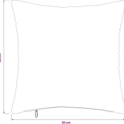 vidaXL Kussensloop 2 pcs HEERLEN Bruin 30 x 30 cm corduroy