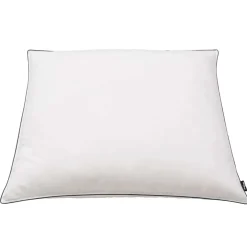 vidaXL Kussens 2 st verenvulling 80x80 cm wit