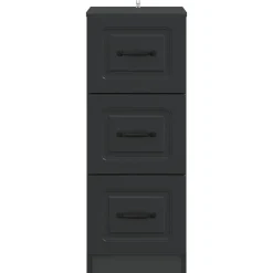 vidaXL Ladenkast Zwart 33 x 34,5 x 87 cm Bewerkt hout