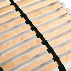 vidaXL Lattenbodem met 28 latten 7 zones 70x200 cm