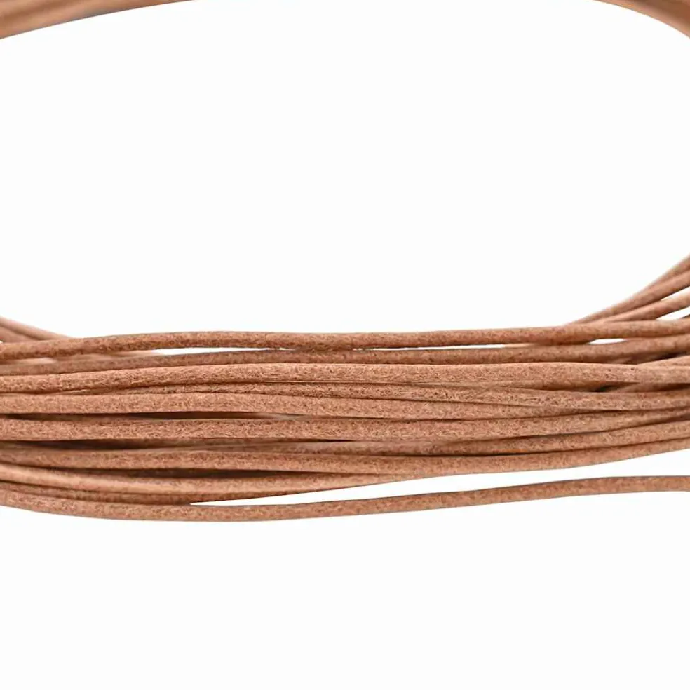 vidaXL Leren Koord 1 Bruin Ø1 mm x 5 m Leer