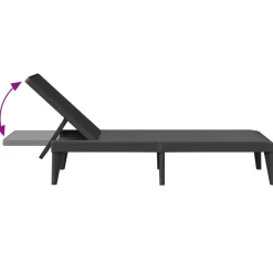 vidaXL Ligbed 186x60x29 cm polypropeen antracietkleurig