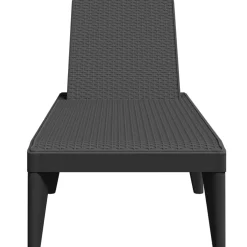 vidaXL Ligbed 186x60x29 cm polypropeen antracietkleurig