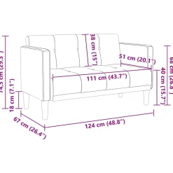 vidaXL Loveseat bank donkergrijs 111 cm fluweel