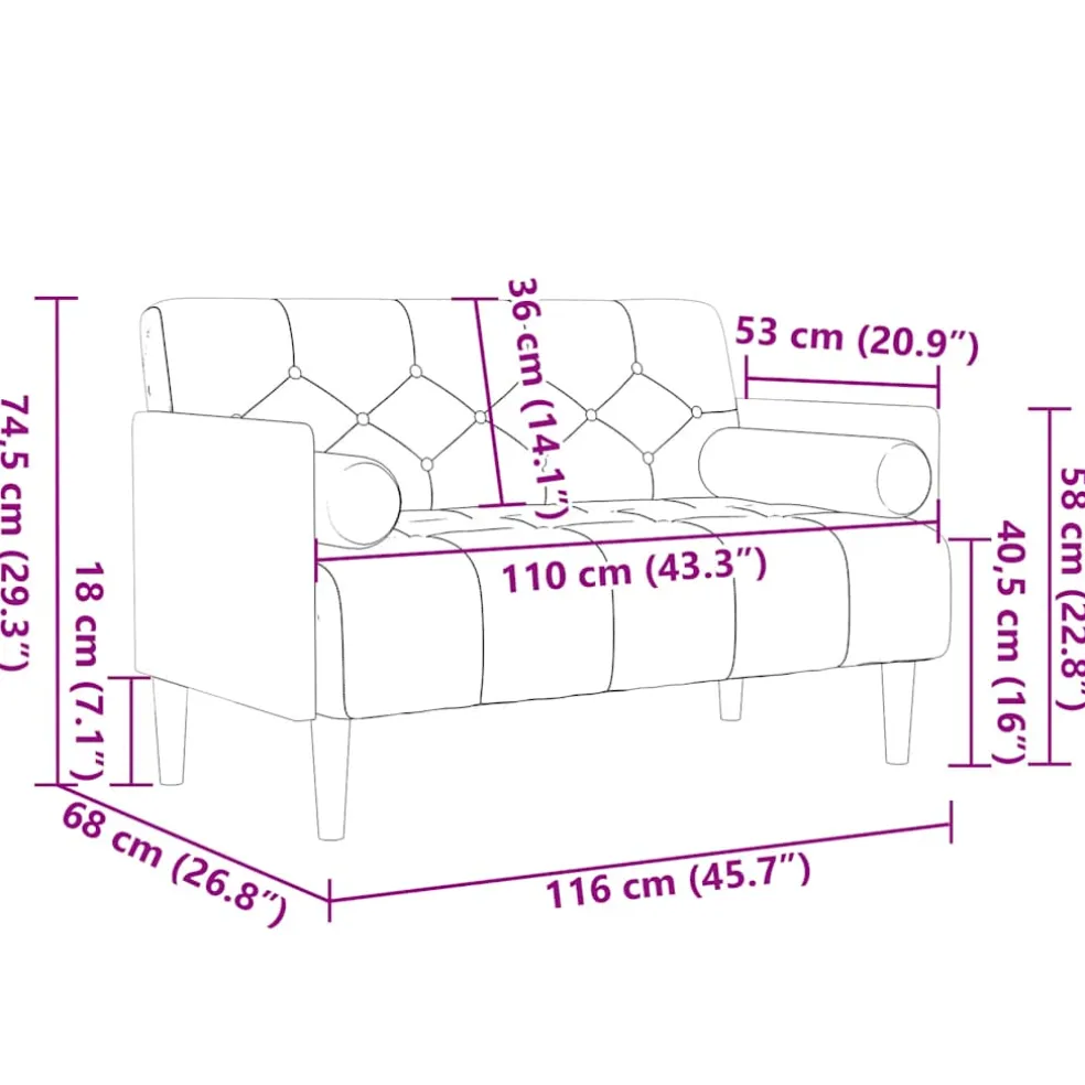 vidaXL Loveseat bank met bolsters zwart 110 cm fluweel
