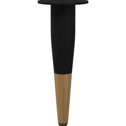 vidaXL Meubelpoten 2 st Zwart en Goud Ø 40 x 98 mm IJzer