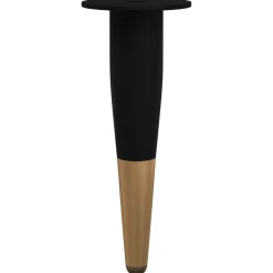 vidaXL Meubelpoten 2 st Zwart en Goud Ø 40 x 98 mm IJzer