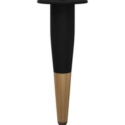 vidaXL Meubelpoten 2 st Zwart en Goud Ø 40 x 98 mm IJzer