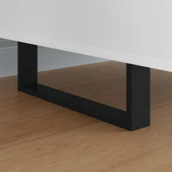 vidaXL Meubelpoten 12 st Zwart 311 x 40,5 x 100 mm IJzer
