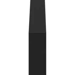 vidaXL Meubelpoten 12 st Zwart 311 x 40,5 x 100 mm IJzer