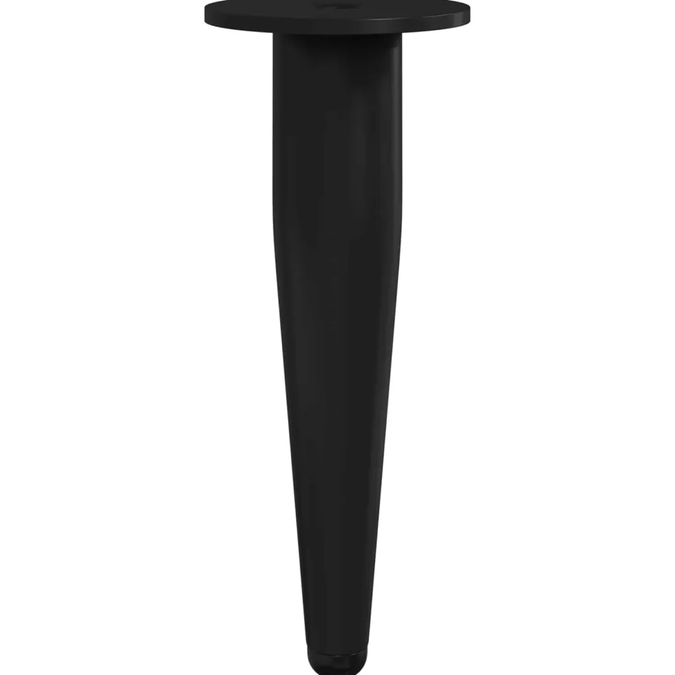 vidaXL Meubelpoten 2 st Zwart Ø 40 x 98 mm IJzer