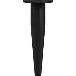vidaXL Meubelpoten 2 st Zwart Ø 40 x 98 mm IJzer