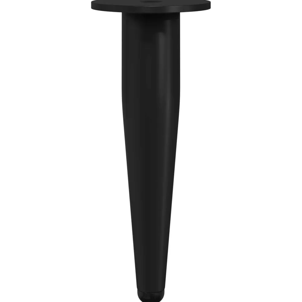 vidaXL Meubelpoten 2 st Zwart Ø 40 x 98 mm IJzer