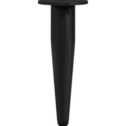 vidaXL Meubelpoten 2 st Zwart Ø 40 x 98 mm IJzer
