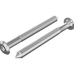 vidaXL Meubelschroeven 2 st Zilver M6 x 60 mm Staal