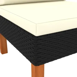 vidaXL Middenbanken 2 st poly rattan en massief eucalyptushout