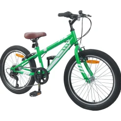 vidaXL Mountainbike 20 Inch 6-Snelheid voor 5-8 jaar oud Groen