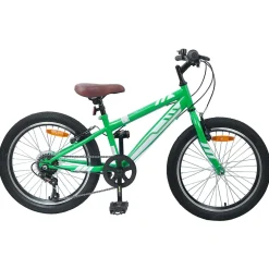vidaXL Mountainbike 20 Inch 6-Snelheid voor 5-8 jaar oud Groen