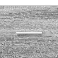vidaXL Nachtkastjes Grijs Sonoma 40 x 36 x 70 cm Bewerkt hout