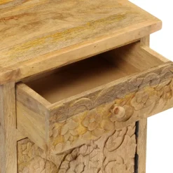 vidaXL Nachtkastje 40x30x50 cm massief mangohout