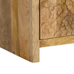 vidaXL Nachtkastje 40x30x50 cm massief mangohout