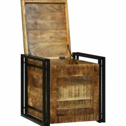 vidaXL Opbergbox Bruin en zwart 50 x 50 x 50 cm Ruw Mango Hout