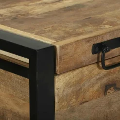 vidaXL Opbergbox met opslag Bruin 80 x 35 x 45 cm Massief mangohout