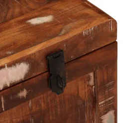 vidaXL Opbergbox met opslag met de deur Bruin Massief Mango Hout