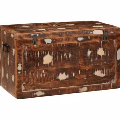 vidaXL Opbergbox met opslag met de deur Bruin Massief Mango Hout