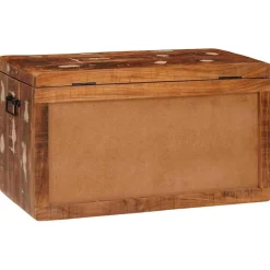 vidaXL Opbergbox met opslag met de deur Bruin Massief Mango Hout