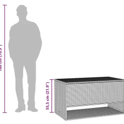 vidaXL Opbergbox voor buiten 100x55x55,5 cm poly rattan zwart