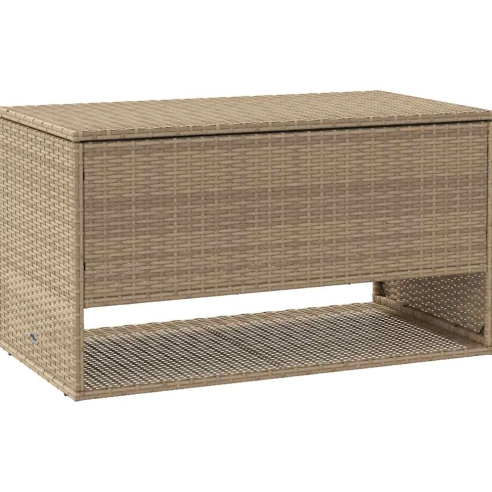 vidaXL Opbergbox voor buiten 100x55x55,5 cm poly rattan beige