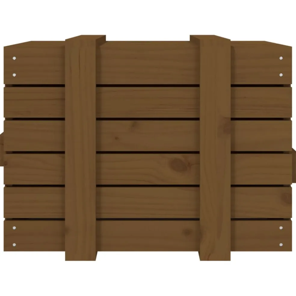 vidaXL Opbergbox 58x40,5x42 cm massief grenenhout honingbruin