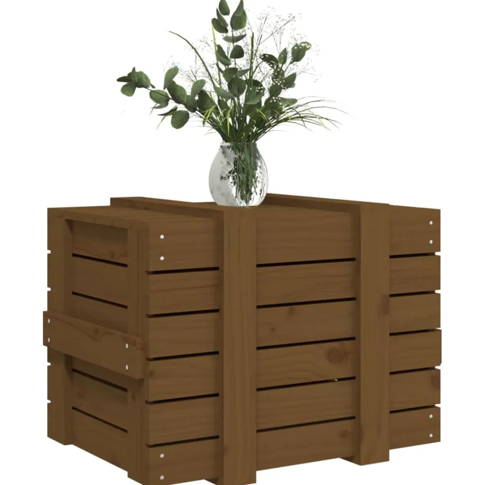 vidaXL Opbergbox 58x40,5x42 cm massief grenenhout honingbruin