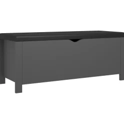 vidaXL Opbergdoos met kussen grijs 105x40x45 cm