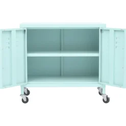 vidaXL Opbergkast 60x35x56 cm staal mint