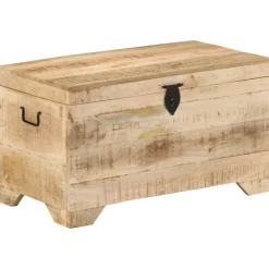 vidaXL Opbergkist massief ruw mangohout