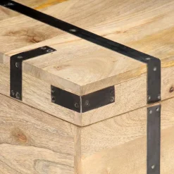 vidaXL Opbergkist 90x40x40 cm massief mangohout