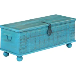 vidaXL Opbergkist 100x40x41 cm massief mangohout blauw
