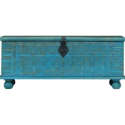 vidaXL Opbergkist 100x40x41 cm massief mangohout blauw