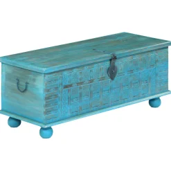 vidaXL Opbergkist 100x40x41 cm massief mangohout blauw