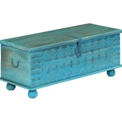 vidaXL Opbergkist 100x40x41 cm massief mangohout blauw