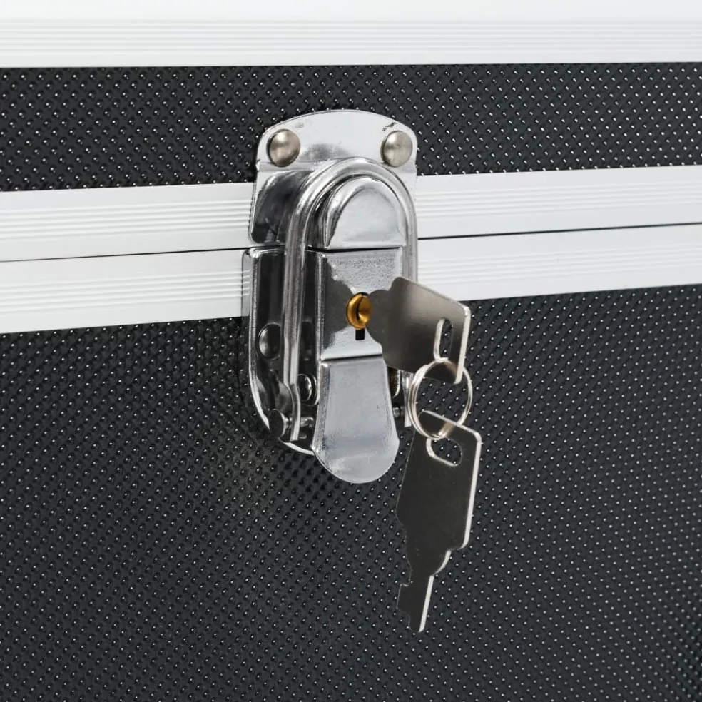 vidaXL Opbergkoffers 2 st aluminium zwart