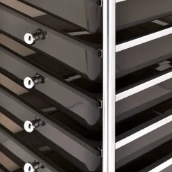 vidaXL Opbergtrolley met 10 lades mobiel kunststof zwart