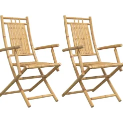 vidaXL Opklapbare stoelen, 2 stuks, 53x66x99 cm, bamboe