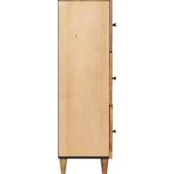 vidaXL Opslagkasten Bruin 40 x 33,5 x 110 cm Massief Mango Hout