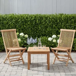 vidaXL Opvouwbare Tuinstoel 2 st Naturel Massief Teakhout