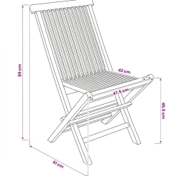 vidaXL Opvouwbare Tuinstoel 2 st Naturel Massief Teakhout
